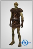Half Orc Heavy 1