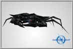 Black Widow Crab