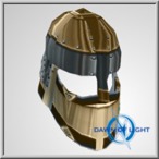 Albion Guard Chain Helm 5