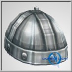 Celtic Scale/Plate  Helm 1
