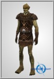 Half Orc Heavy 1