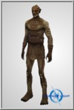 Lost Half Orc
