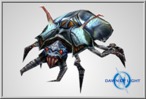 Beetle Morph